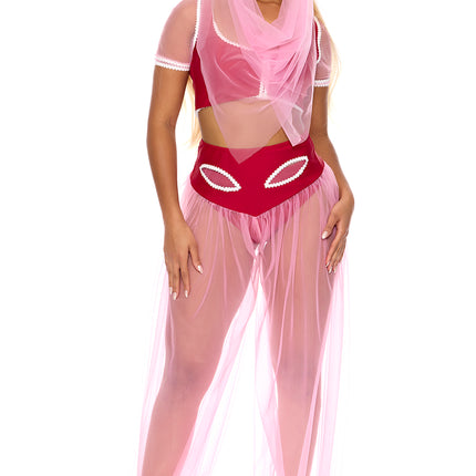 Dream Harem Genie Women Costume by Forplay only at  TeeJayTraders.com