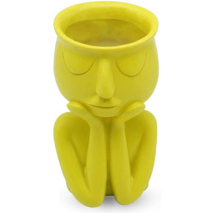 Greneric Character Portrait Flower Pot Resin Succulents Plant Pot
