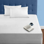 2-Pack Pillow Cover