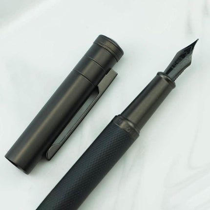 Hongdian Silver Birch Forest Fountain Pen