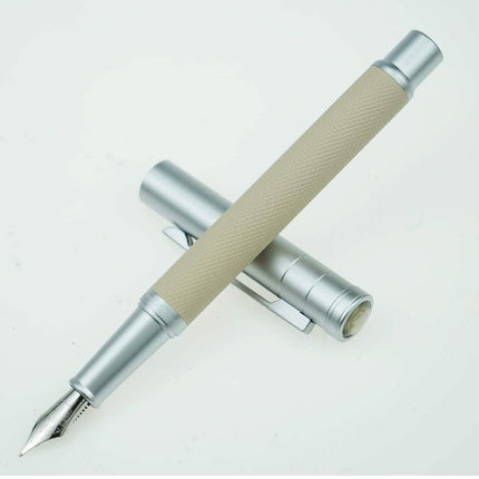 Hongdian Silver Birch Forest Fountain Pen