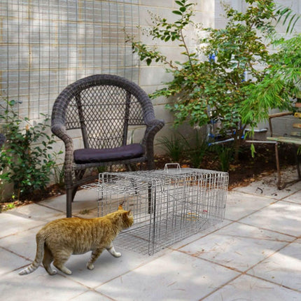 Humane Catch Release Live Animal Collapsible Galvanized Wire Trap Cage