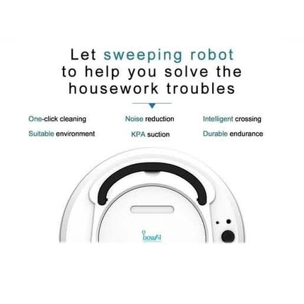 Intelligent Robot Vacuum Cleaner