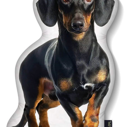 LiLiPi Dog-Shaped Accent Pillow - Assorted Styles