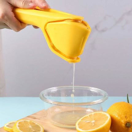 Manual Lemon Squeezer Fold Flat Design