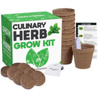 Culinary Herb