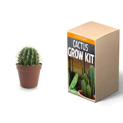 Plant Your Own Garden Grow Kit