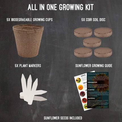 Plant Your Own Garden Grow Kit