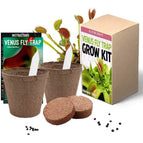 Venus Fly Trap