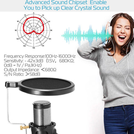 Professional Condenser Studio Recording Microphone