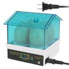 4 Eggs