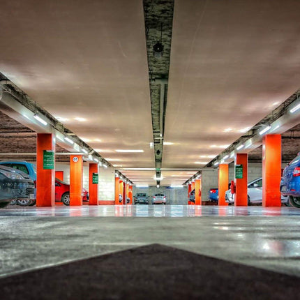 Rear View Reversing Backing Camera and License Plate