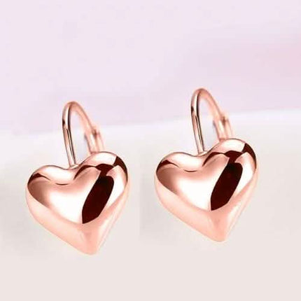 Sleek Heart Shaped Leverback Earrings