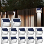 Cool White / 12 Pack