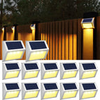 Warm White / 12 Pack
