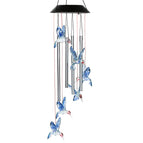 Blue Hummingbird