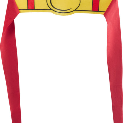 DC Comics Superheros Superman Pet Costume