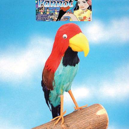 Colorful Feathered Bird Pirate Parrot Prop Shoulder Sitter