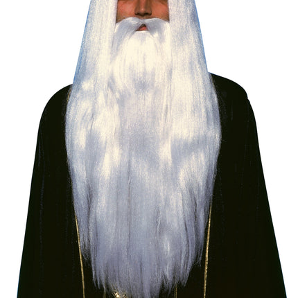 Merlin Wig and Beard Set Adult Long White Wizard Costume
