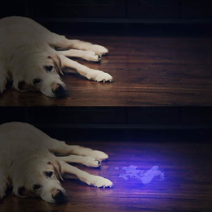 UV Flashlight Black Light