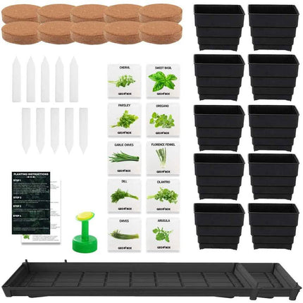 Windowsill Garden Herb Kit