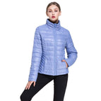 M / Periwinkle