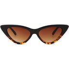 Tortoise/Gradient Brown
