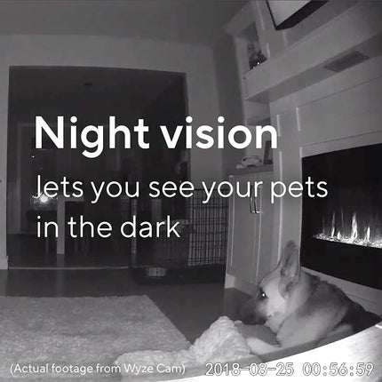Wyze Cam V2 (Refurbished)