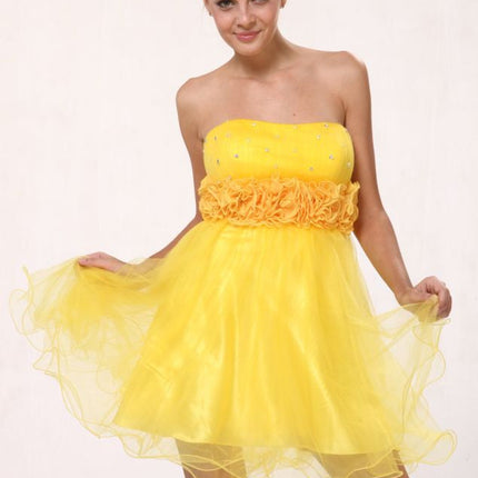 CLEARANCE - Cinderella Divine 414 Short A-Line Tulle Dress (Size 6)