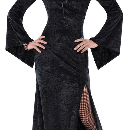 Enchantress Woman Witch Costume by Amscan Costumes only at  TeeJayTraders.com
