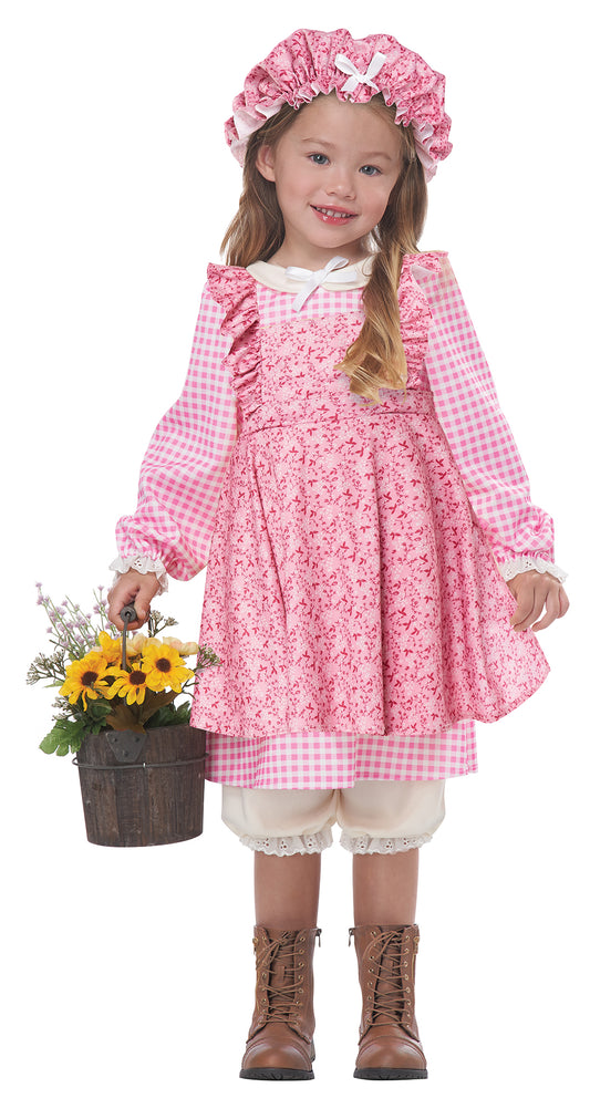 Prairie Colonial Girls Costume by California Costumes only at  TeeJayTraders.com