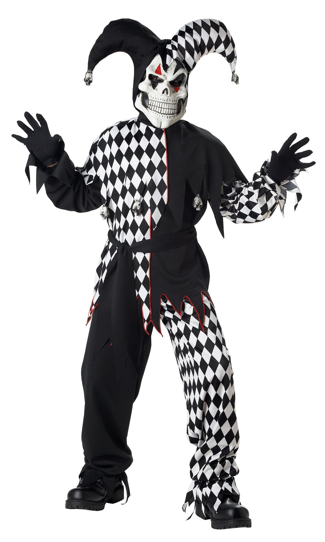 Evil Jester Boys Costume by California Costumes only at  TeeJayTraders.com