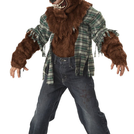 Brown Wolf Boys Costume by California Costumes only at  TeeJayTraders.com