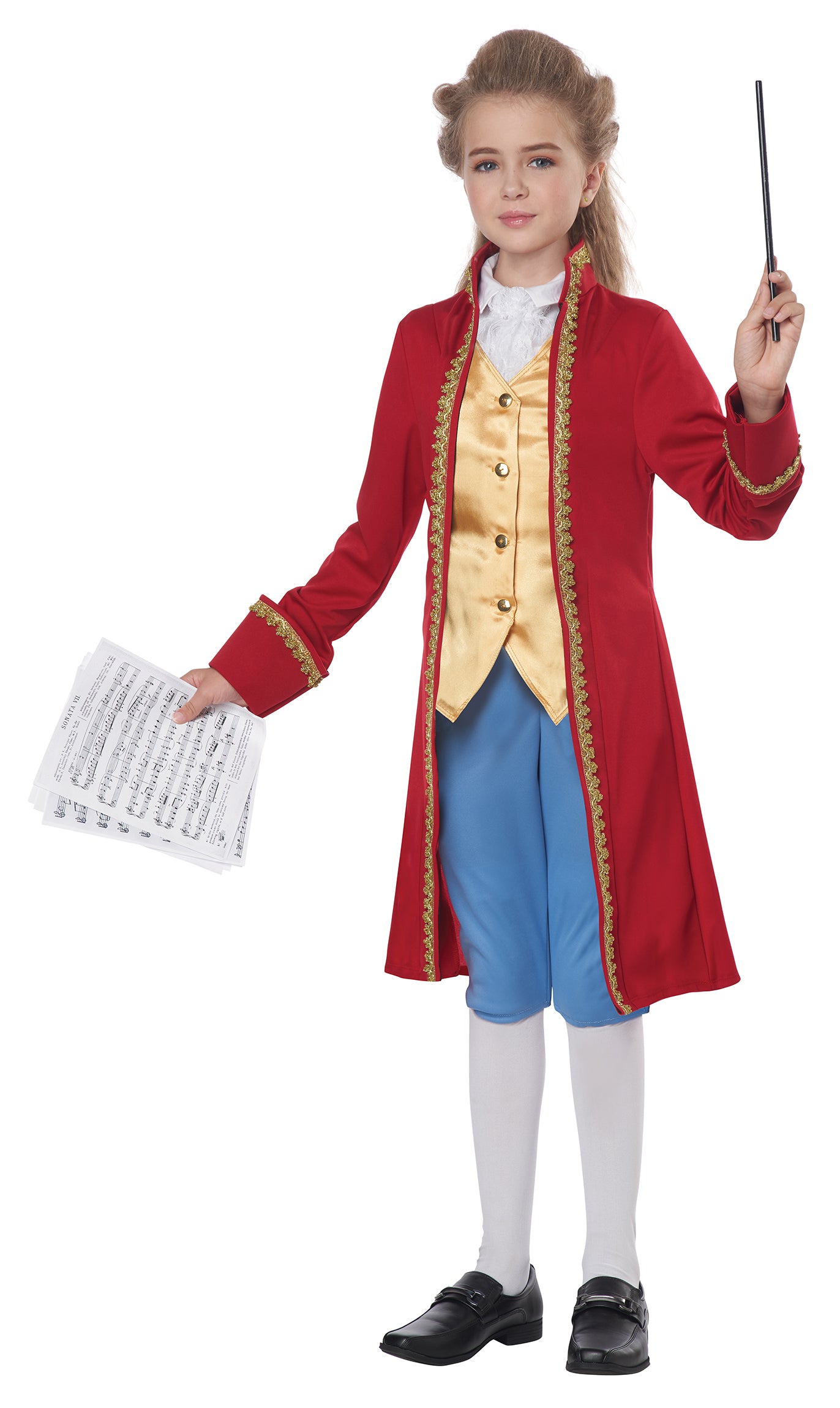 Classical Composer Unisex Kids Costume by California Costumes only at  TeeJayTraders.com - Image 2