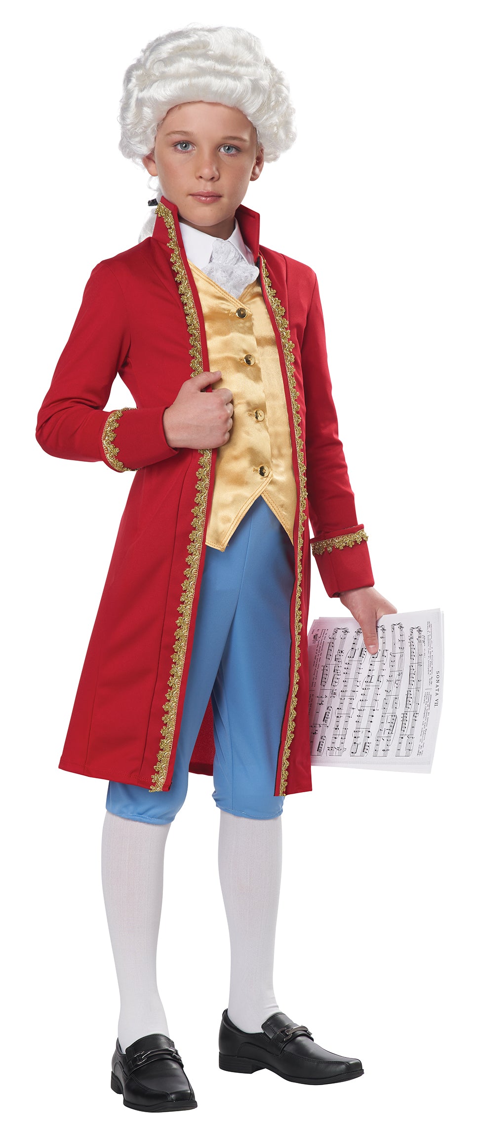 Classical Composer Unisex Kids Costume by California Costumes only at  TeeJayTraders.com - Image 3