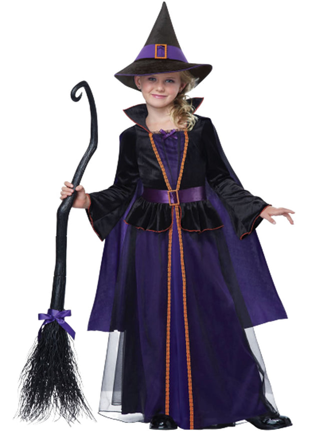 Hocus Pocus Girls Witch Costume by California Costumes only at  TeeJayTraders.com