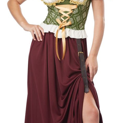 Renaissance Wench Women Historical Costume by California Costumes only at  TeeJayTraders.com