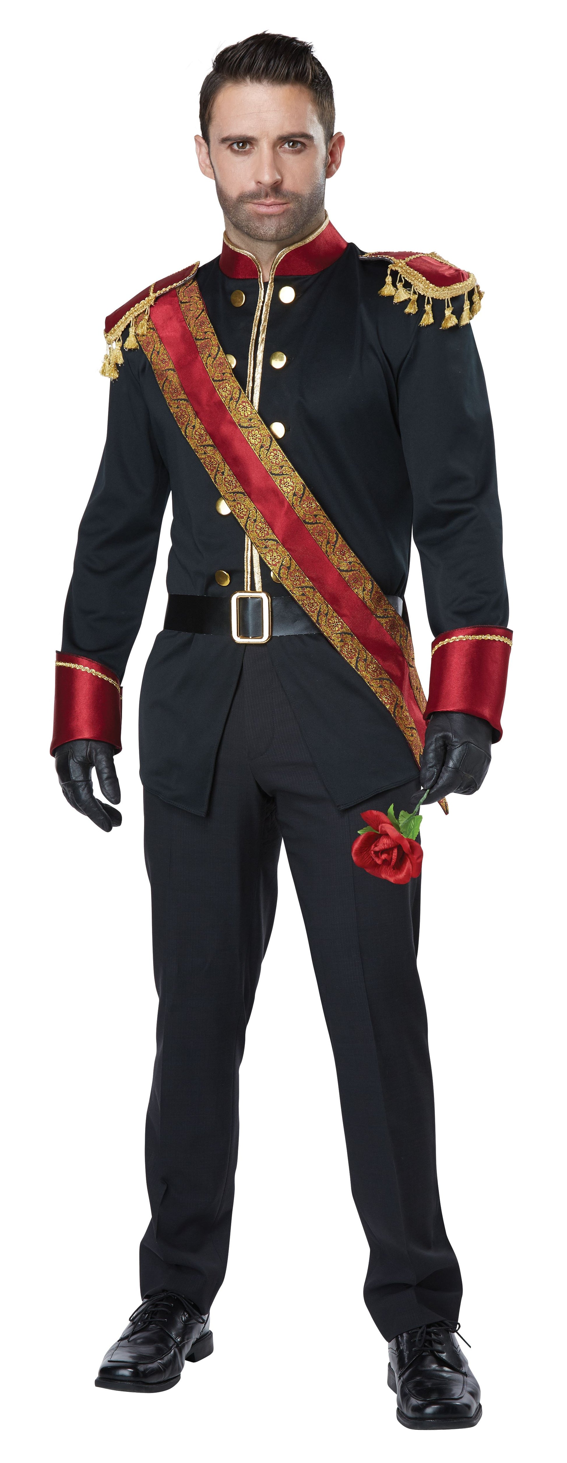 Dark Prince Men Costume by California Costume only at  TeeJayTraders.com
