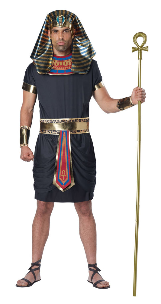 Pharaoh Deluxe Men Egyptian Costume by California Costumes only at  TeeJayTraders.com