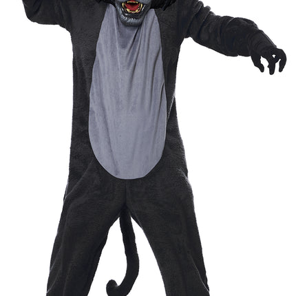 Cat Fight Unisex Kids Costume by California Costume only at  TeeJayTraders.com