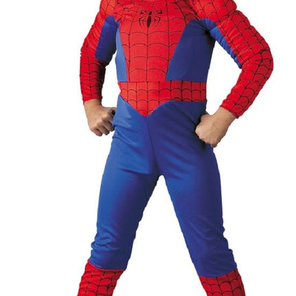 Boys Spiderman Muscle Costume by Disguise only at  TeeJayTraders.com