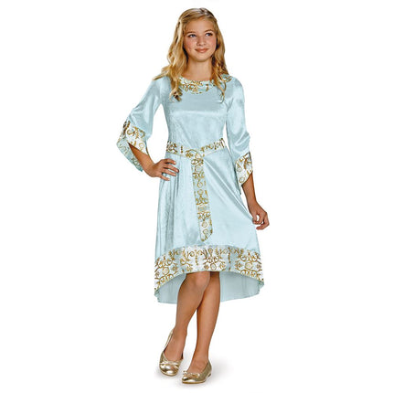 Disney Princess Aurora Girls Costume by Disguise only at  TeeJayTraders.com