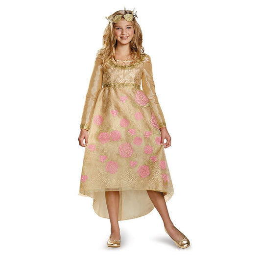 Disney Aurora Coronation Girls Costume by Disguise only at  TeeJayTraders.com