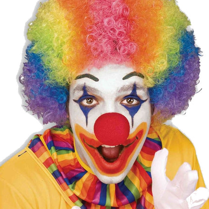 Adult Unisex Rainbow Clown Afro Wig