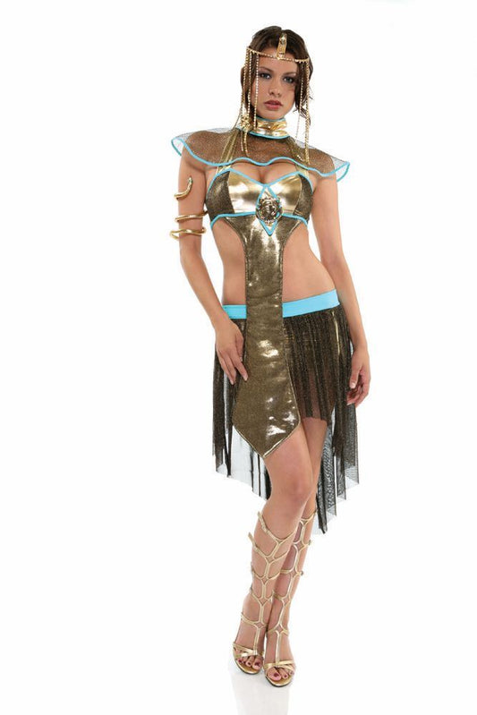 Egyptian Princess Woman Costume by Forplay only at  TeeJayTraders.com