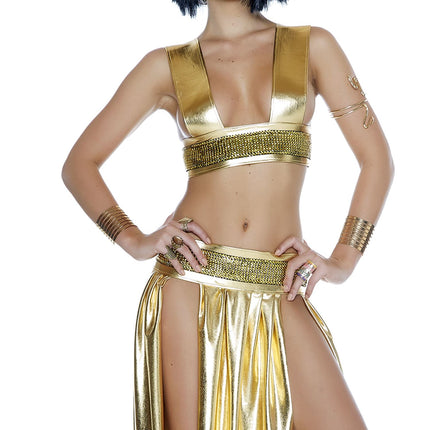 Ravishing Ruler Cleopatra Costume by Forplay Costumes only at  TeeJayTraders.com - Image 3