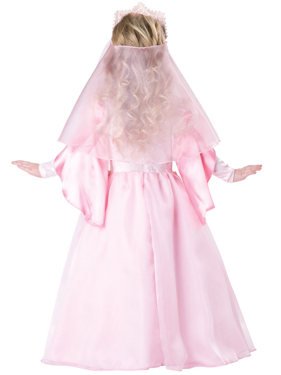 Princess Deluxe Girls Toddler Costume by Incharacter Costume only at  TeeJayTraders.com - Image 2