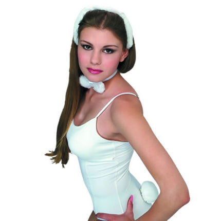 Bunny Accessory Kit by Rubies Costumes only at  TeeJayTraders.com