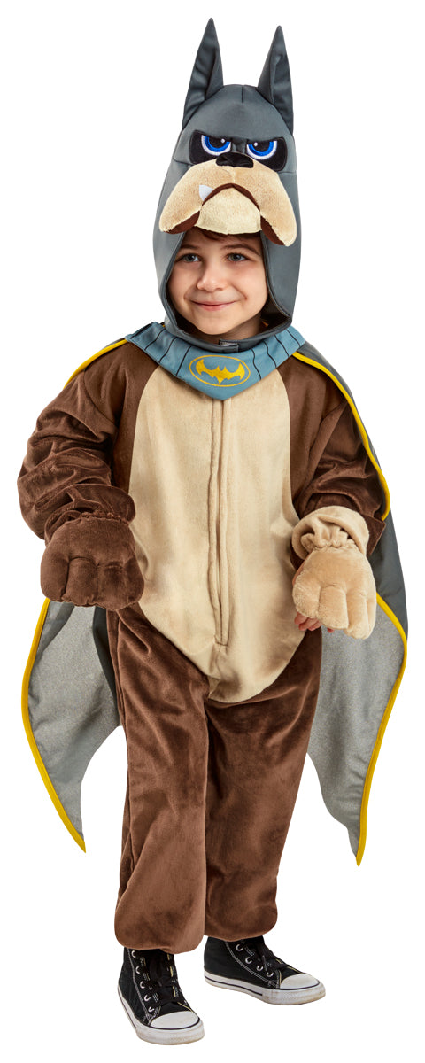 Ace Comfy Wear Toddler Superpets Costume by Rubies Costumes only at  TeeJayTraders.com