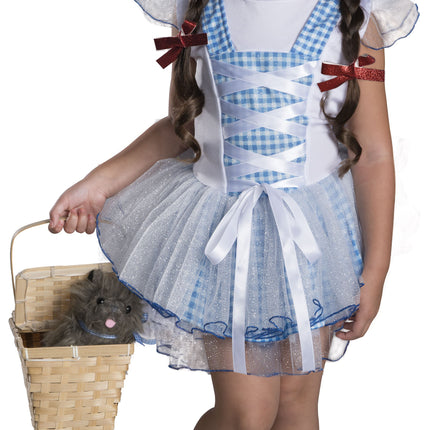 The Wizard of Oz Dorothy Girls Costume by Rubies Costumes only at  TeeJayTraders.com